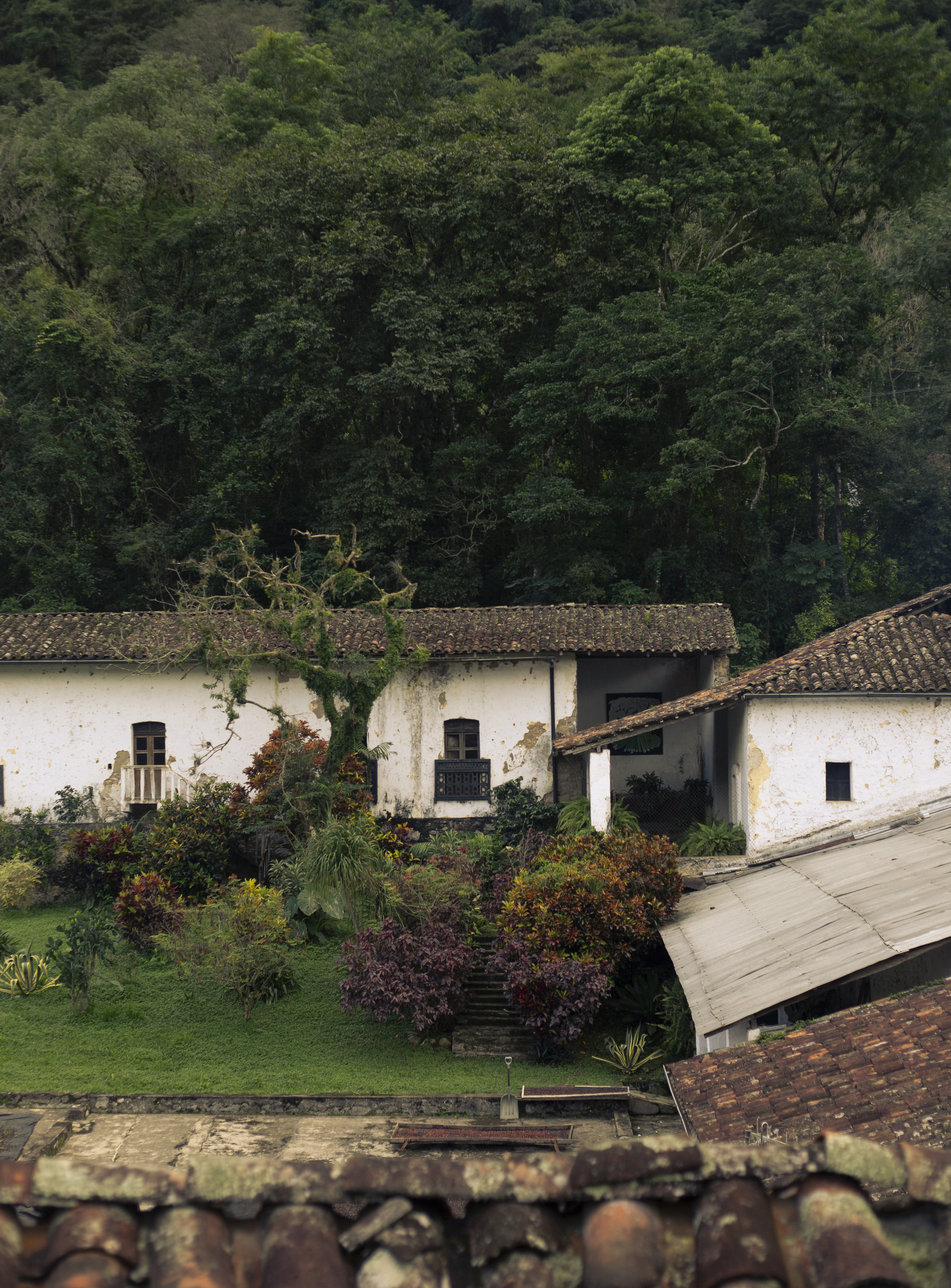 Casco histórico de Finca Coyametla — sierra de Zongolica, Veracruz